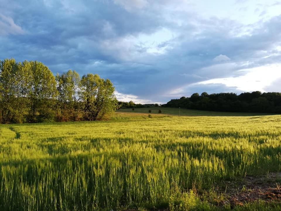 Agriturismo Con Cucina Tipica Nuova Scardua Cavriana Exteriér fotografie