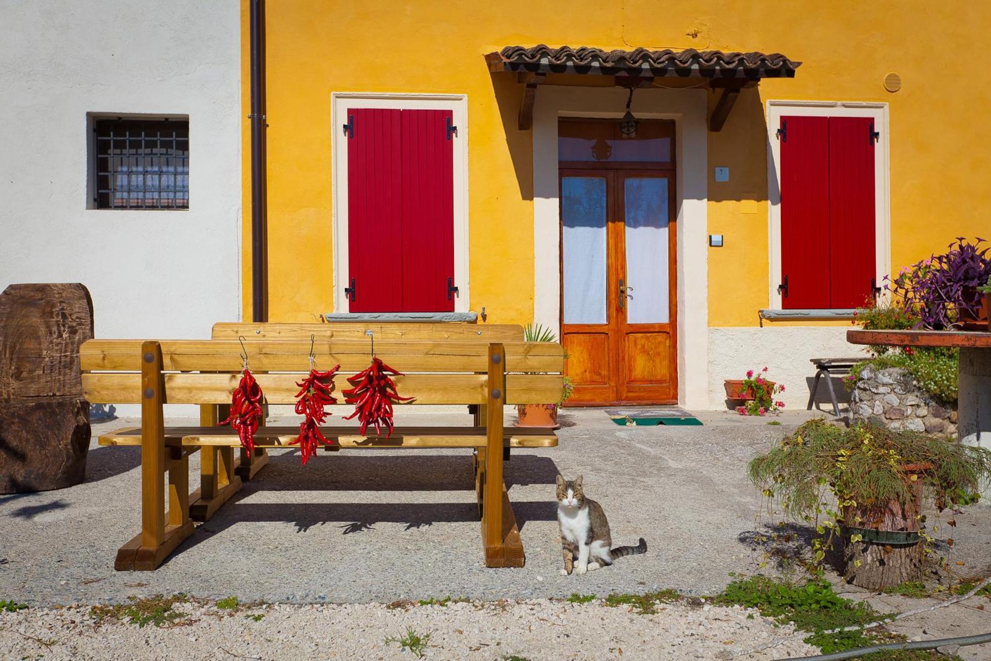 Agriturismo Con Cucina Tipica Nuova Scardua Cavriana Exteriér fotografie