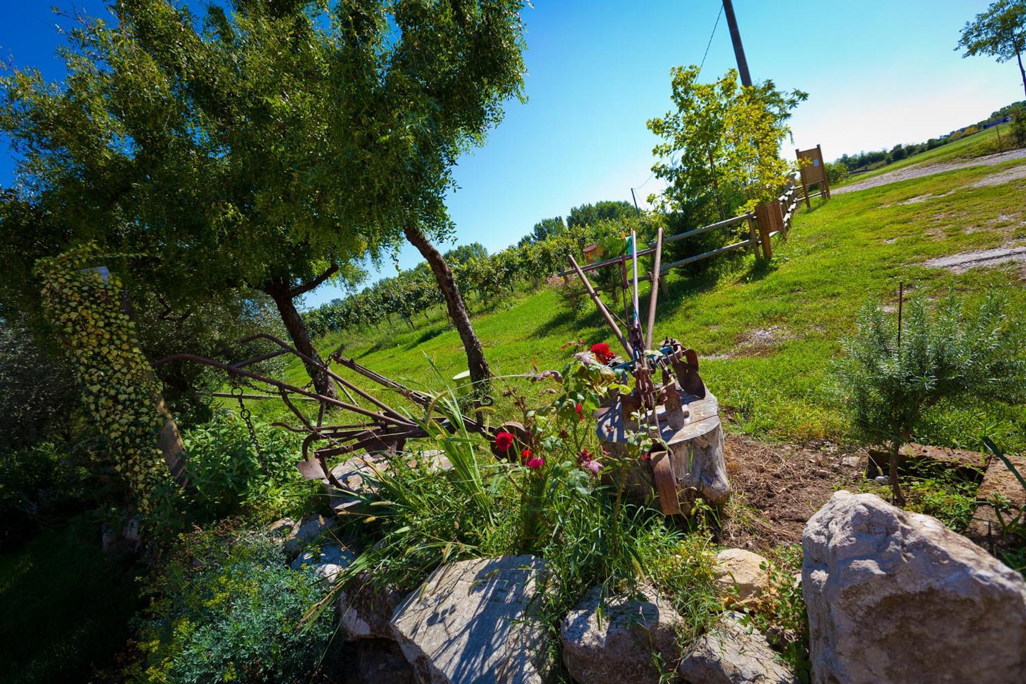 Agriturismo Con Cucina Tipica Nuova Scardua Cavriana Exteriér fotografie